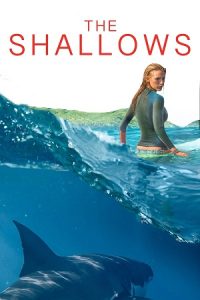 The Shallows (2016) Dual Audio {Hindi-English} BluRay 480p - 720p - 1080p