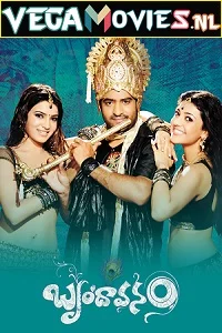 The Super Khiladi – Brindavanam (2010) Hindi Dubbed Full Movie 480p - 720p - 1080p