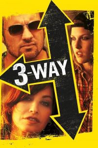 Three Way (2004) Dual Audio {Hindi-English} BluRay 480p - 720p - 1080p