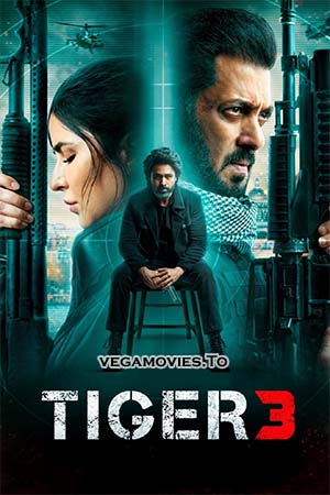 Tiger 3 (2023) Hindi AMZN WEB-DL 480p - 720p - 1080p - 2160p 4K UHD