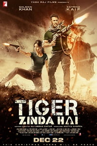 Tiger Zinda Hai (2017) BluRay Hindi Full Movie 480p - 720p - 1080p