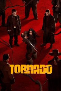 Tornado (2025) Dual Audio {Hindi-English} BluRay 480p - 720p - 1080p