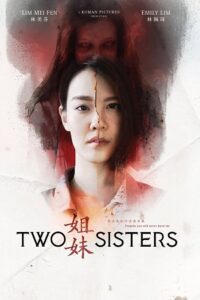 Two Sisters (2019) WEB-DL Dual Audio {Hindi-Chinese} 480p - 720p - 1080p