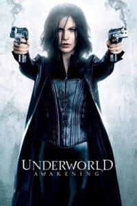 Underworld Awakening (2012) Dual Audio {Hindi-English} BluRay 480p - 720p - 1080p