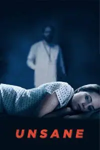 Unsane (2018) BluRay Dual Audio {Hindi-English} 480p - 720p - 1080p