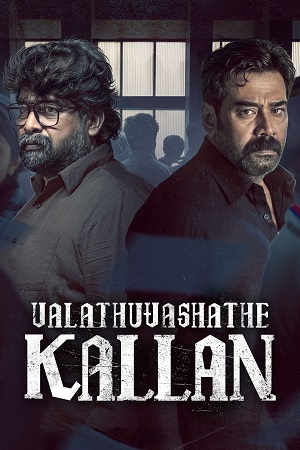 Valathu Vashathe Kallan (2026) Dual Audio [Hindi ORG + Malayalam] WeB-DL 480p - 720p - 1080p