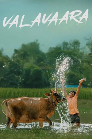 Valavaara (2026) Dual Audio [Hindi + Kannada] WeB-DL 480p - 720p - 1080p