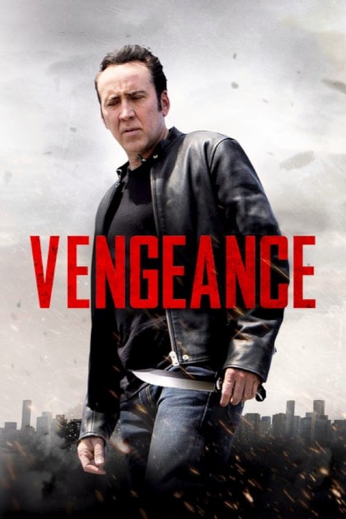 Vengeance: A Love Story (2017) Blu-Ray Dual Audio {Hindi-English} 480p - 720p - 1080p