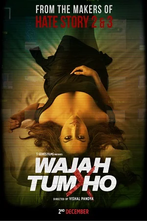 Wajah Tum Ho (2016) Hindi Full Movie 480p - 720p - 1080p