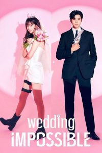 Wedding Impossible (Season 1) Dual Audio {Hindi-Korean} Series 480p 720p & 1080p WEB-DL