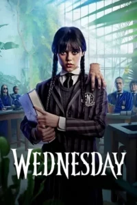 Wednesday (2022) Season 1 Dual Audio {Hindi-English} Netflix Original 480p - 720p - 1080p WEB-DL