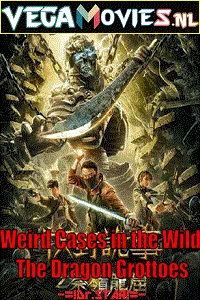 Weird Cases in the Wild: The Dragon Grottoes (2020) Dual Audio [Hindi + Vietnamese] WeB-DL 480p - 720p - 1080p