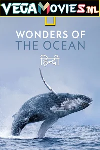 Wonders of the Ocean (2021) Season 1 Hindi Complete DSNP WEB Series 480p - 720p HDRip
