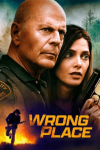 Wrong Place (2022) BluRay Dual Audio {Hindi-English} 480p - 720p - 1080p