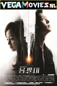 Yong Pal (2015) Season 1 Hindi Dubbed Complete [Korean Series] 720p WEB-DL