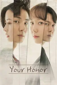 Your Honor (Season 1 – Complete) Hindi Dubbed (ORG) [K-Drama Series] All Episodes 480p - 720p - 1080p WEB-DL