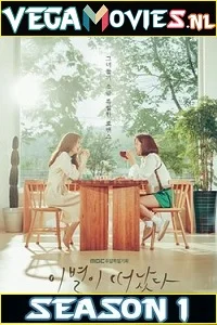 Goodbye to Goodbye Season 1 Hindi Dubbed Complete Korean Drama Series 480p - 720p WEB-DL