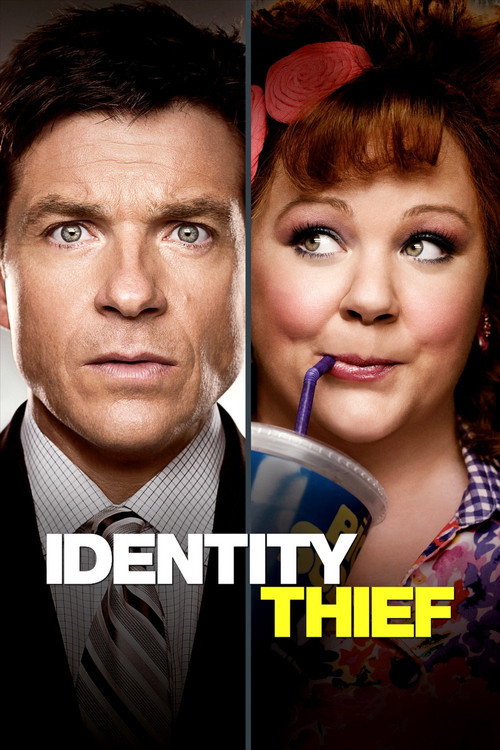 Identity Thief (2013) Dual Audio {Hindi-English} BluRay 480p - 720p - 1080p