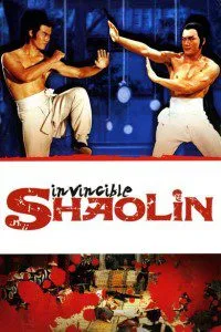 Invincible Shaolin (1978) Dual Audio {Hindi-English} 480p - 720p BluRay