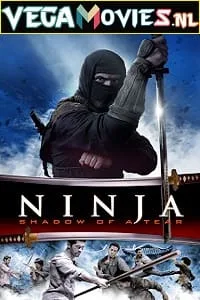 Ninja: Shadow of a Tear (2013) Dual Audio {Hindi-English} 480p - 720p