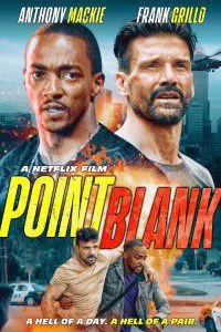 Point Blank (2019) Dual Audio {Hindi-English} 480p - 720p - 1080p