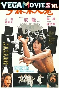 Shaolin Wooden Men (1976) Dual Audio [Hindi-English] 480p - 720p