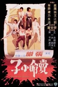 The Magnificent Ruffians (1979) Dual Audio {Hindi-English} 480p - 720p
