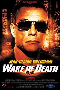 Wake of Death (2004) Dual Audio {Hindi-English} 480p - 720p